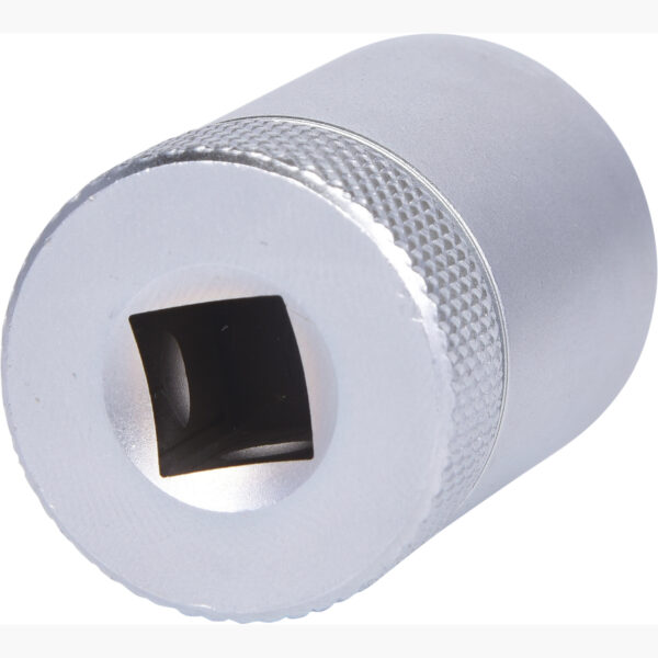 FOT_PRO_VAR_516.1502.2_SALL_AING_V1