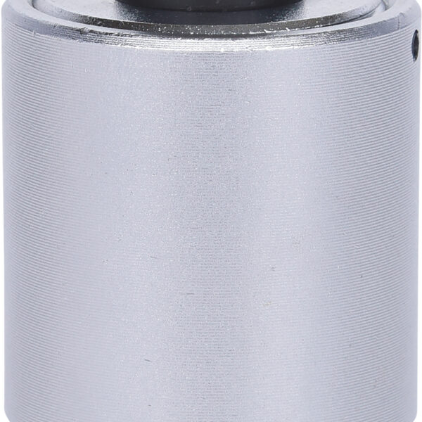 FOT_PRO_VAR_516.1502.6_SALL_AING_V1