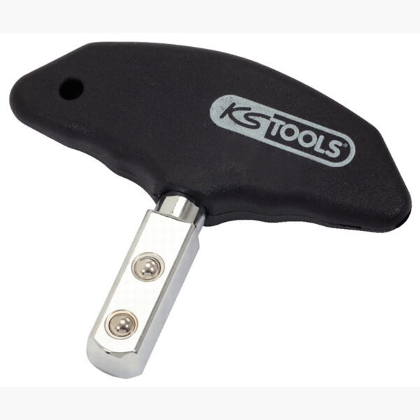 FOT_PRO_ALG_STK_516.1444_SALL_AING_V2