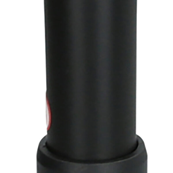 FOT_PRO_ALG_516.1432_SALL_AING_V1