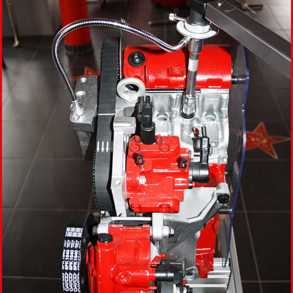 FOT_ANW_ALG_STK_516.119X(5-7).AW2_SALL_AING_V1