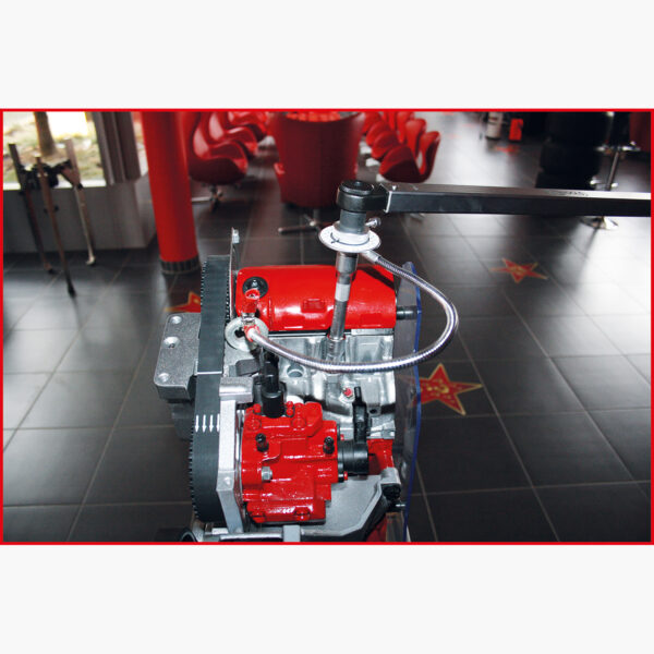 FOT_ANW_ALG_STK_516.119X(6-8).AW1_SALL_AING_V1