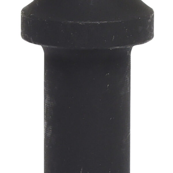 FOT_PRO_VAR_515.3887.6_SALL_AING_V1