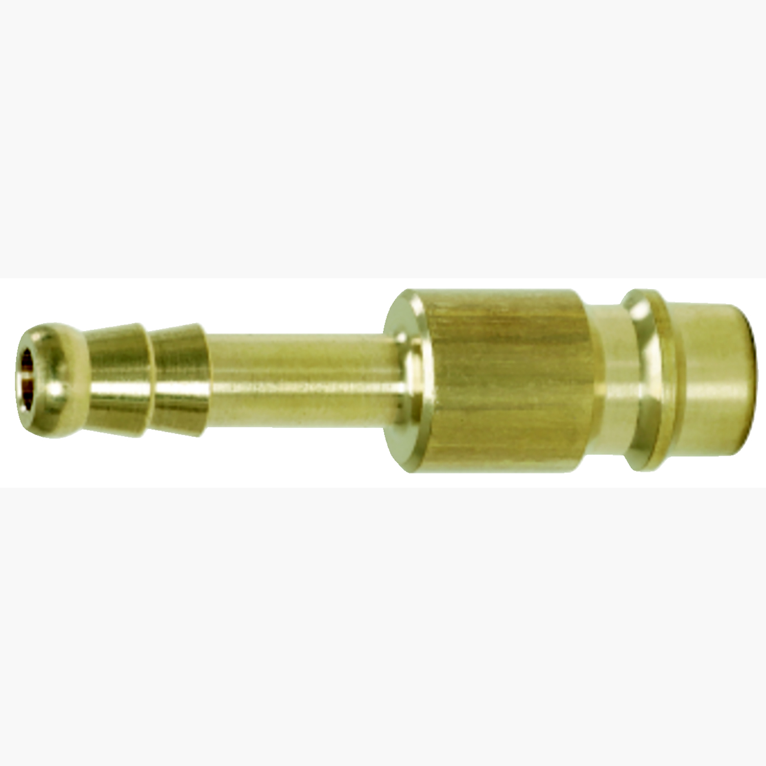 FOT_PRO_ALG_DRLU_515.349X(5-7)_SALL_AING_V1