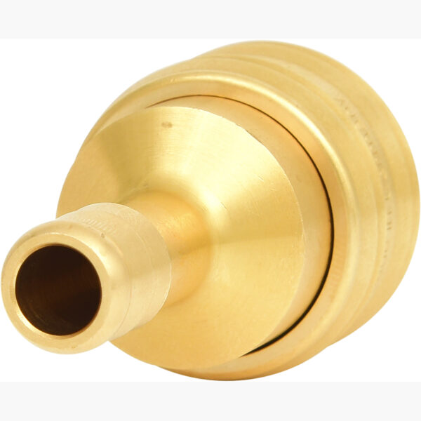 FOT_PRO_VAR_515.3487.2_SALL_AING_V1