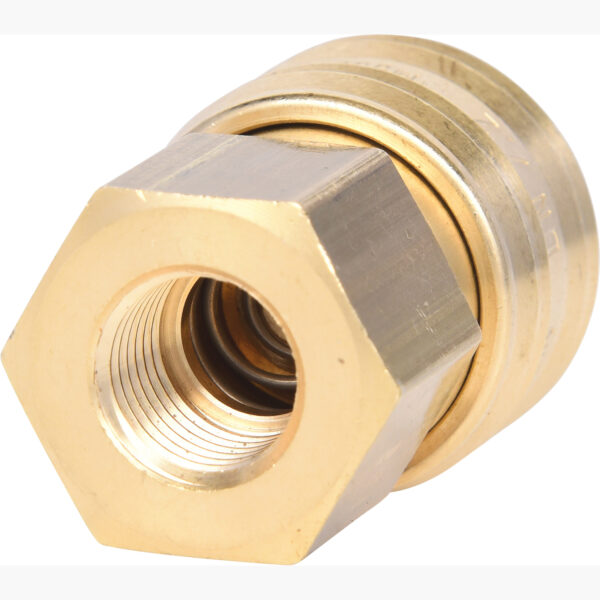 FOT_PRO_ALG_515.3483_SALL_AING_V1