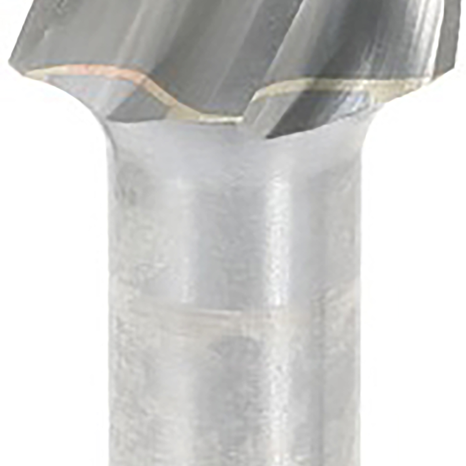 FOT_PRO_ALG_BOHR_515.3291_SALL_AING_V1