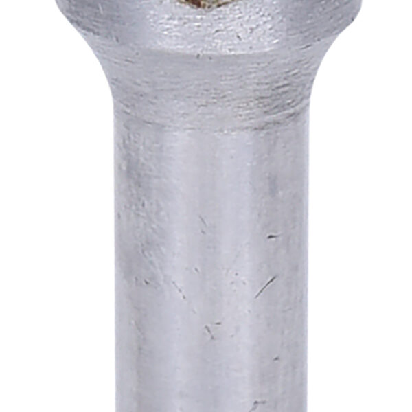 FOT_PRO_VAR_515.3245.2_SALL_AING_V1