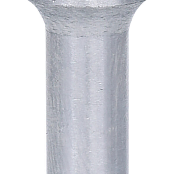 FOT_PRO_VAR_515.3235.2_SALL_AING_V1