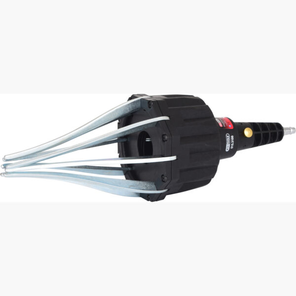 FOT_PRO_ALG_515.3100_SALL_AING_V1