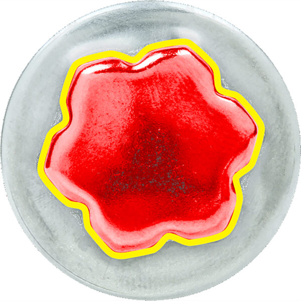 FOT_ANW_ALG_AUTO_515.2055.AW1_SALL_AING_V1