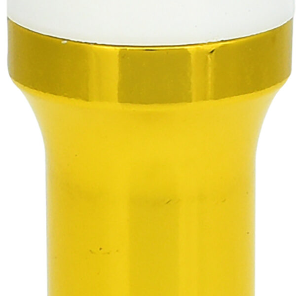 FOT_PRO_VAR_515.2041.4_SALL_AING_V1