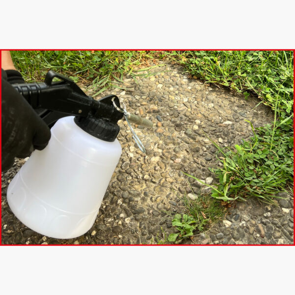 FOT_ANW_ALG_WZAL_515.1923.AW1_SALL_AING_V1