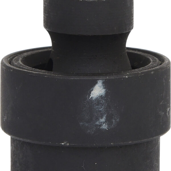 FOT_PRO_VAR_515.1133.6_SALL_AING_V1