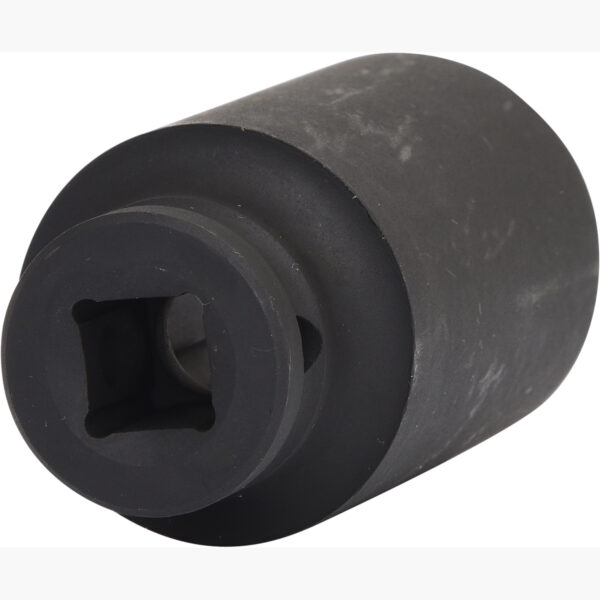 FOT_PRO_VAR_515.1130.2_SALL_AING_V1