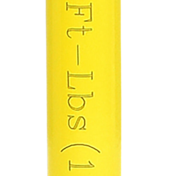 FOT_PRO_VAR_515.1063.8_SALL_AING_V1