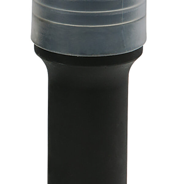 FOT_PRO_ALG_AUTO_515.0619_SALL_AING_V1