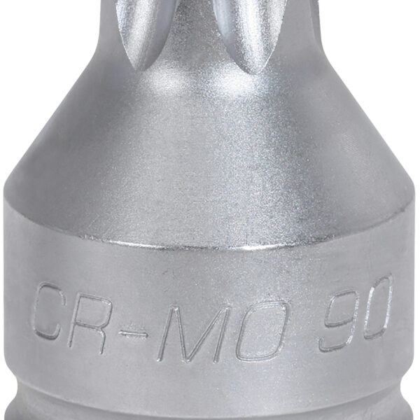 FOT_PRO_ALG_AUTO_515.001X(6-8)_SALL_AING_V1