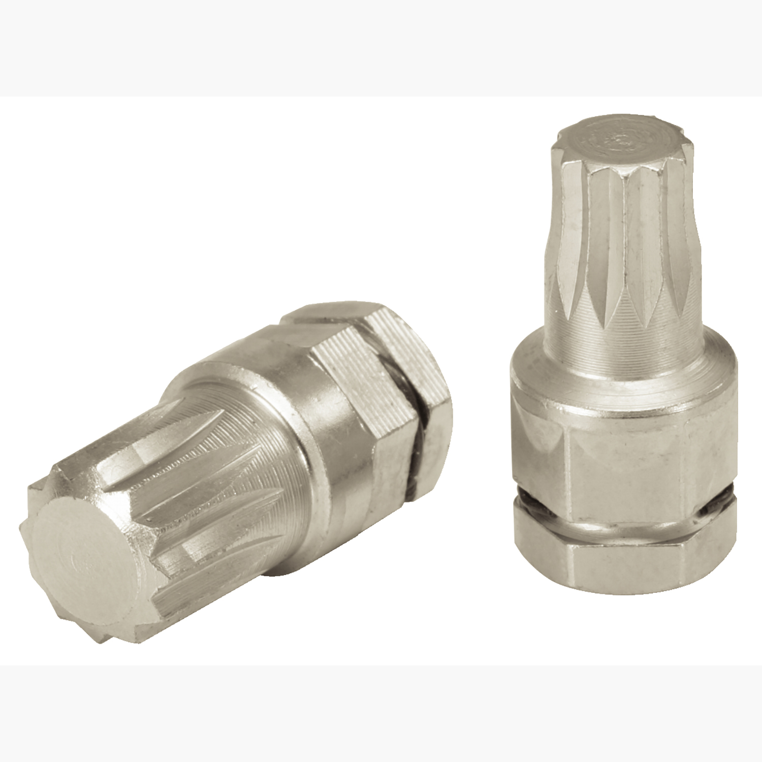 FOT_PRO_ALG_BIT_503.815X(2-5)_SALL_AING_V1
