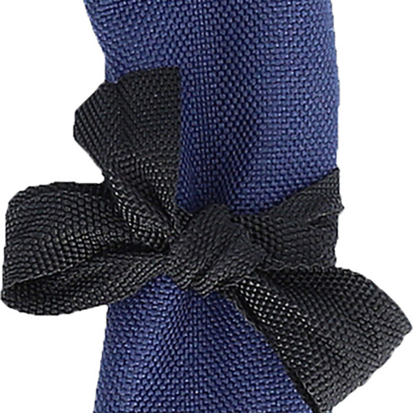 FOT_PRO_VAR_503.4655.2_SALL_AING_V1