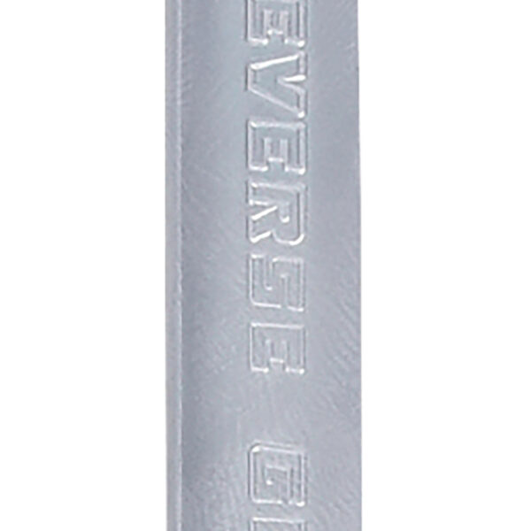 FOT_PRO_VAR_503.4573.2_SALL_AING_V1