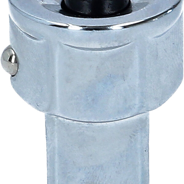 FOT_PRO_VAR_503.4298.2_SALL_AING_V1