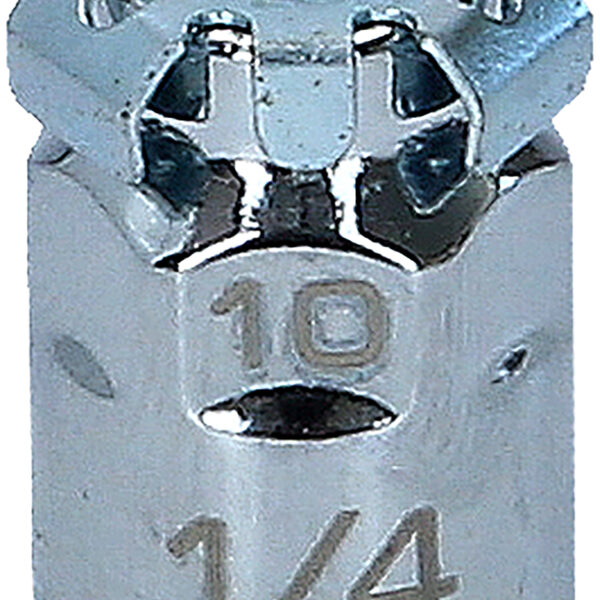 FOT_PRO_ALG_503.4290_SALL_AING_V1