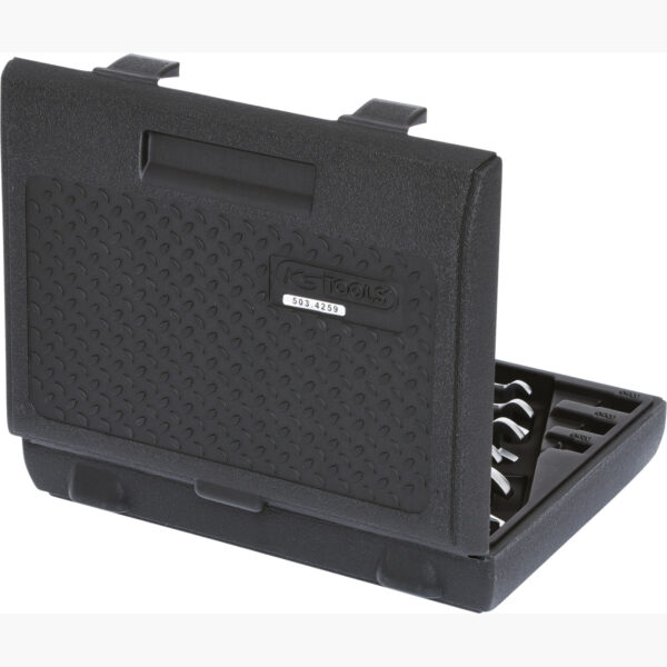 FOT_PRO_VAR_503.4259.2_SALL_AING_V1