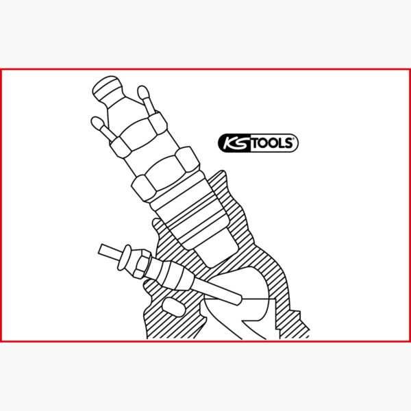 FOT_ANW_ALG_SCHL_503.0812.AW1_SALL_AING_V1