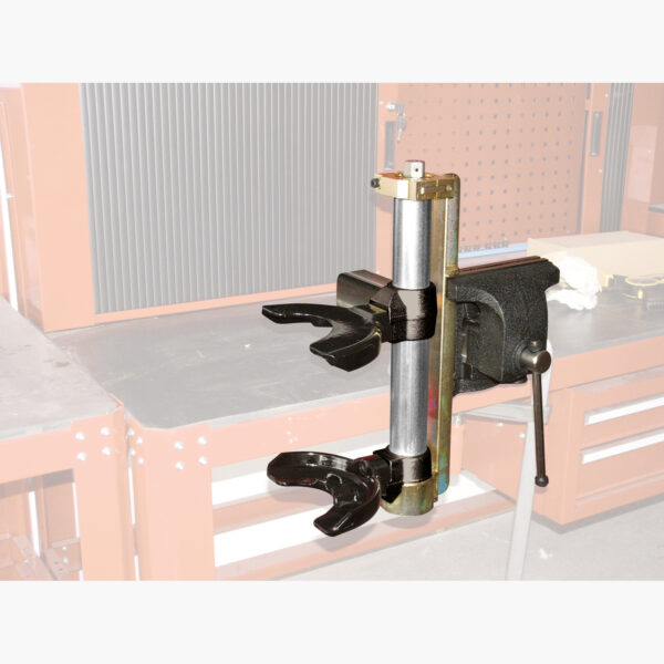 FOT_ANW_ALG_AUTO_500.8404.AW5_SALL_AING_V1