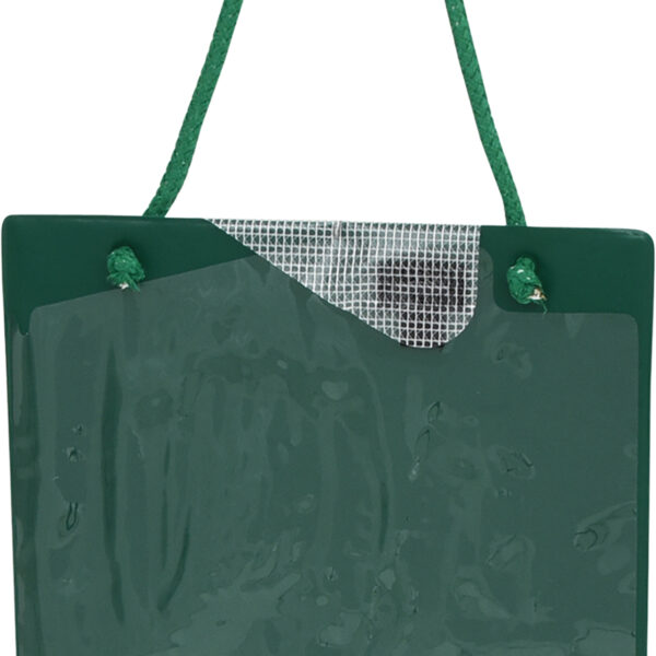 FOT_PRO_VAR_500.8098.2_SALL_AING_V1