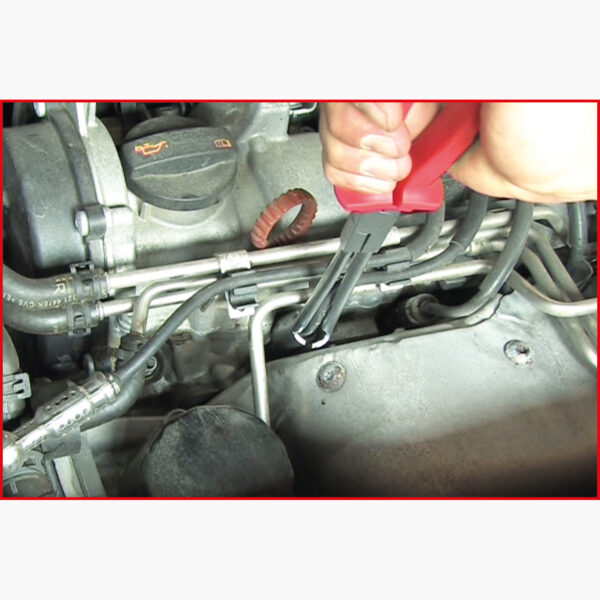 FOT_ANW_ALG_AUTO_500.7510.AW2_SALL_AING_V1