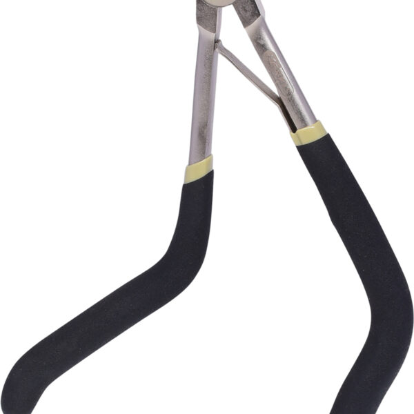 FOT_PRO_ALG_500.7335_SALL_AING_V1