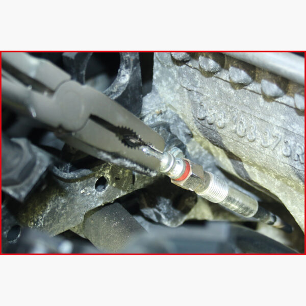 FOT_ANW_ALG_ZA_500.7335.AW1_SALL_AING_V1