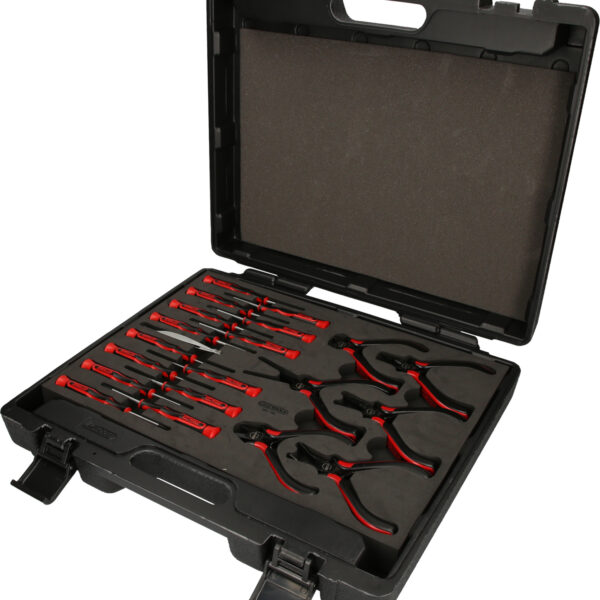 FOT_PRO_ALG_SCHR_500.7190_SALL_AING_V1