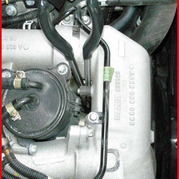 FOT_ANW_ALG_ZA_500.7060.AW1_SALL_AING_V1