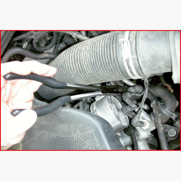 FOT_ANW_ALG_ZA_500.7060.AW3_SALL_AING_V1