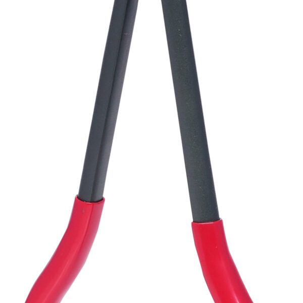 FOT_PRO_ALG_500.7053_SALL_AING_V1