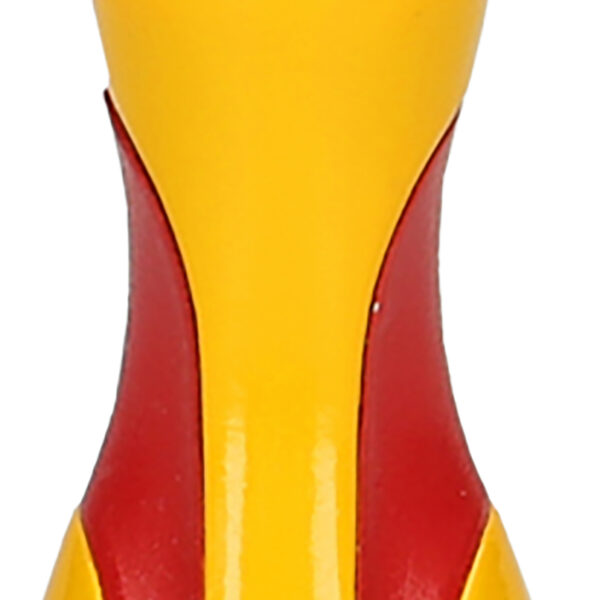 FOT_PRO_ALG_SCHR_500.61XX(36-37)_SALL_AING_V1