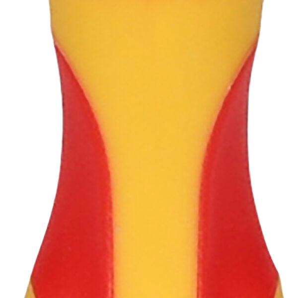 FOT_PRO_ALG_500.6137_SALL_AING_V1