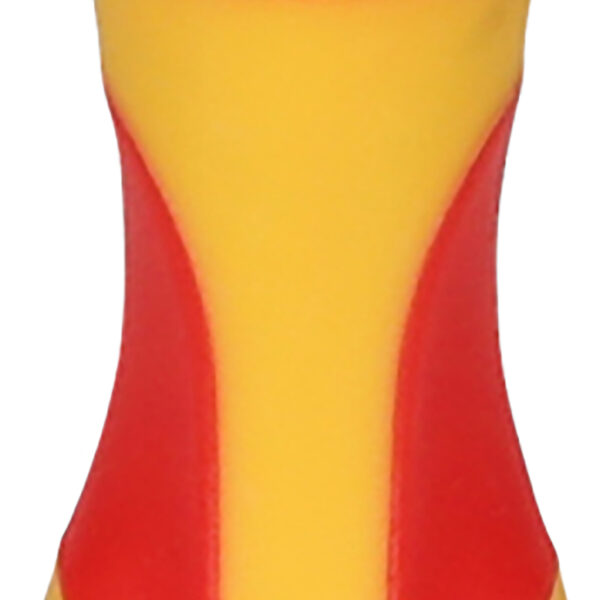 FOT_PRO_VAR_500.6137.2_SALL_AING_V1