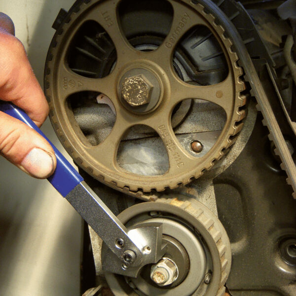 FOT_ANW_ALG_AUTO_500.4315.AW1_SALL_AING_V1