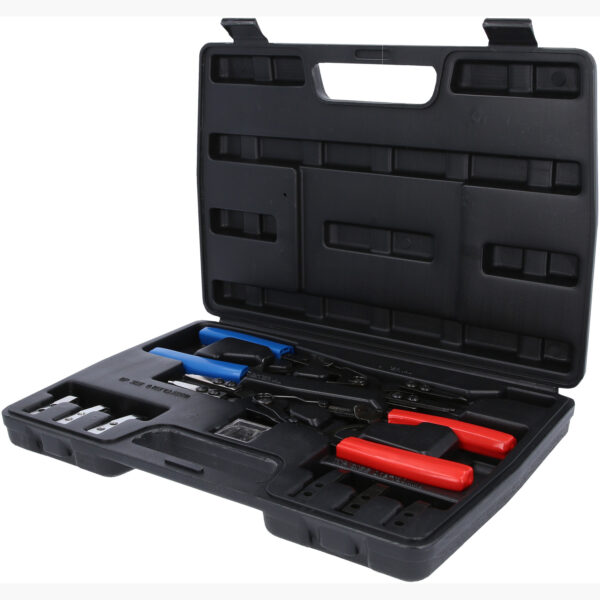 FOT_PRO_ALG_500.1350_SALL_AING_V1