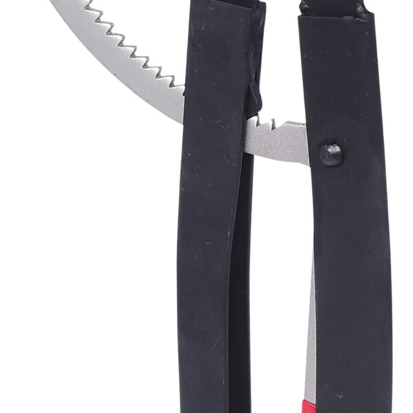 FOT_PRO_ALG_500.1345_SALL_AING_V1