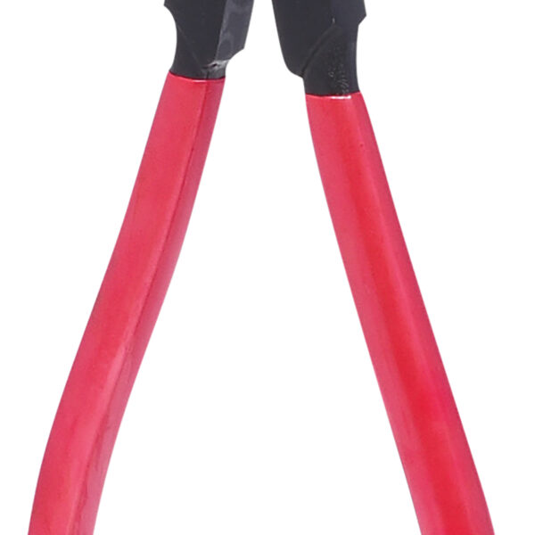 FOT_PRO_ALG_500.1039_SALL_AING_V1