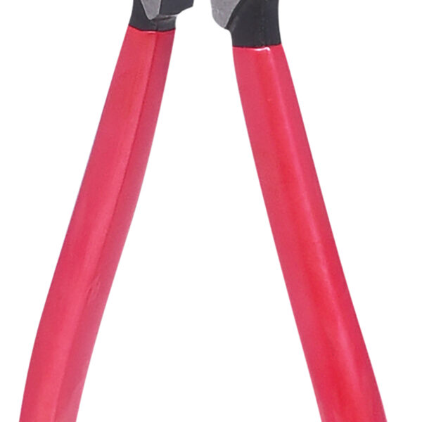 FOT_PRO_VAR_500.1039.2_SALL_AING_V1