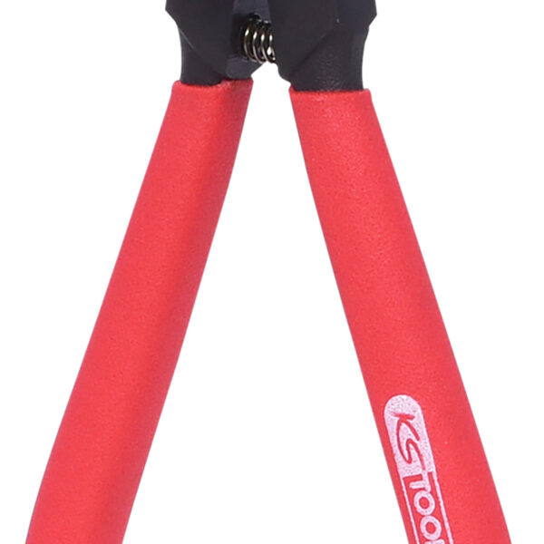 FOT_PRO_ALG_500.1038_SALL_AING_V1