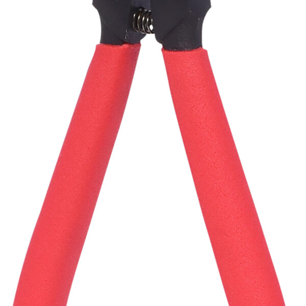 FOT_PRO_VAR_500.1038.2_SALL_AING_V1