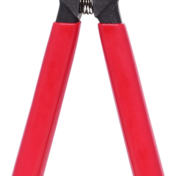 FOT_PRO_ALG_500.1036_SALL_AING_V1