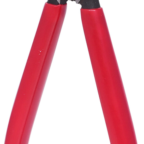 FOT_PRO_ALG_500.1033_SALL_AING_V1